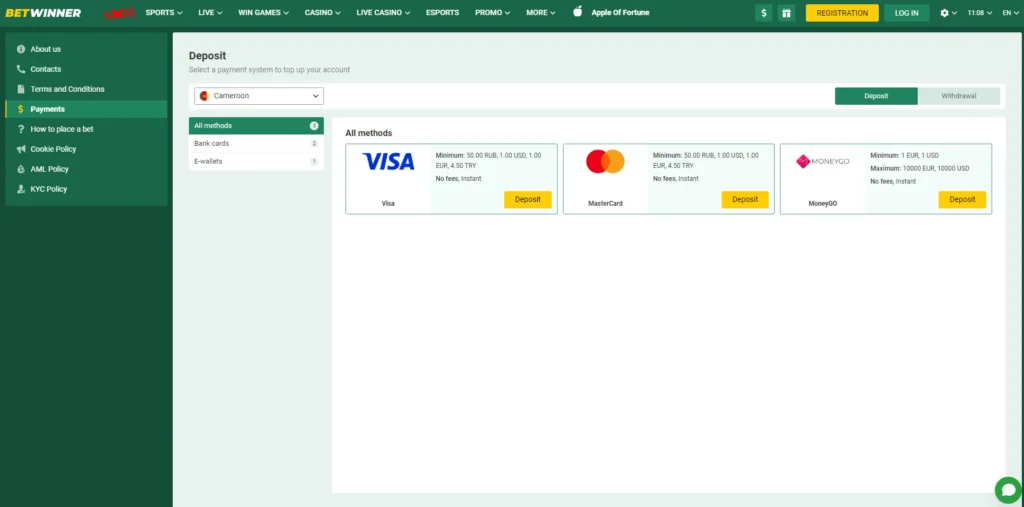 betwinner cameroon payment methods